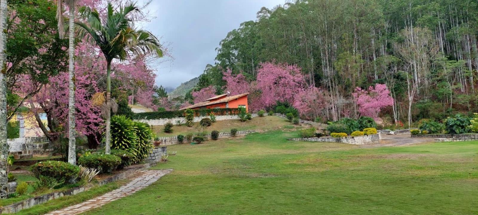 Cabanas Eco Das Montanhas Domingos Martins Exterior foto